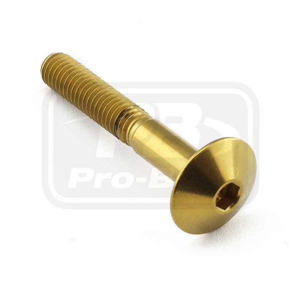 PRO-BOLT STAINLESS STEEL DOME HEAD BOLT M6x(1.00mm)x40mm