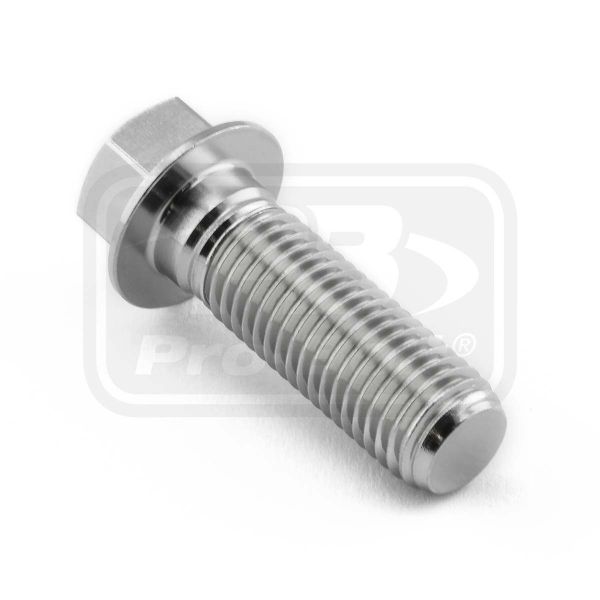 PRO-BOLT STAINLESS STEEL FLANGED HEX HEAD M10x(1.25mm)x30mm